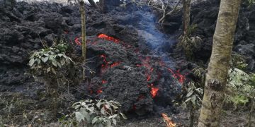 Flujos de lava continúan avanzando y generan riesgo para cultivos