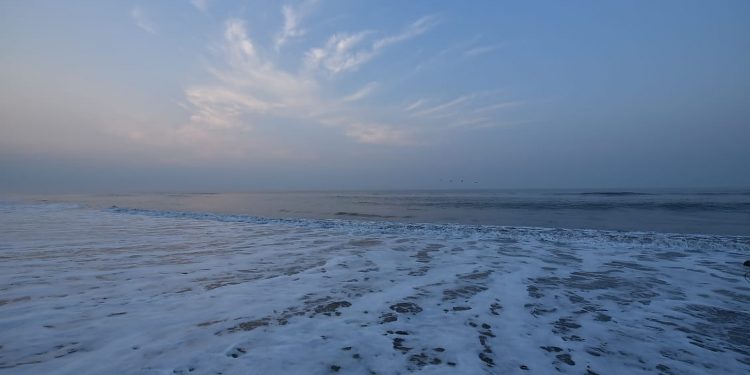 Sipacate, morena del sur