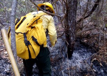 Incendios causan daños en 653.74 hectáreas de áreas protegidas