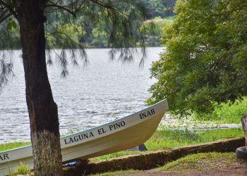 Conozca el espejo de agua y el bosque del parque nacional Laguna El Pino