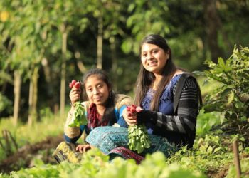 Así avanza la actualización de la Política Nacional de Seguridad Alimentaria y Nutricional