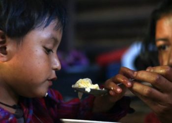 Se conmemora el 16 aniversario del Sistema Nacional de Seguridad Alimentaria y Nutricional