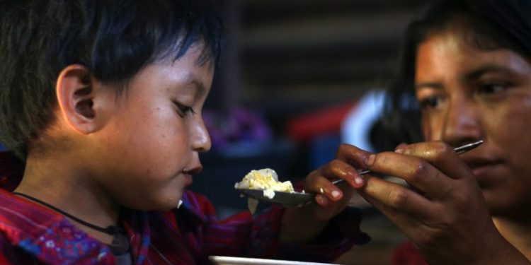 Presupuesto para fortalecer la seguridad alimentaria y nutricional asciende a 5 mil 125 millones de quetzales