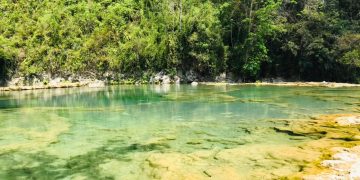 Descartan contaminación en monumento natural Semuc Champey