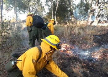 Incendios forestales afectan más de 22 hectáreas de bosques en Totonicapán