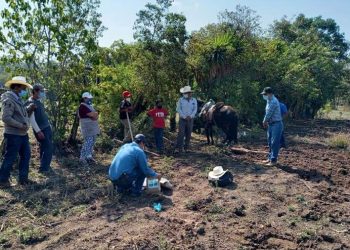Entregan semilla de frijol biofortificado a agricultores de Huehuetenango