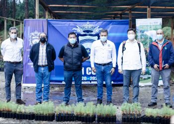 Gestionan cooperación internacional para proteger bosques de Alta Verapaz
