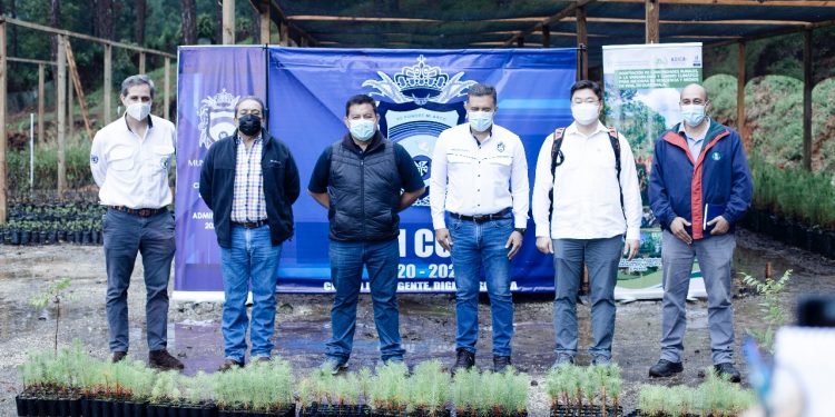 Gestionan cooperación internacional para proteger bosques de Alta Verapaz