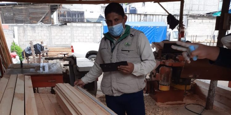 Fiscalizan empresas forestales en San Marcos