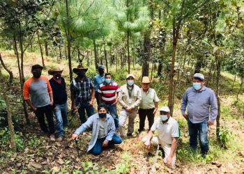 Beneficiarios del Pinpep se capacitan sobre podas y raleos