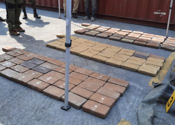 Incautan 123 paquetes de cocaína ocultos en contenedor en Puerto Quetzal