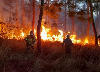 Incendios forestales afectan más de mil 500 hectáreas