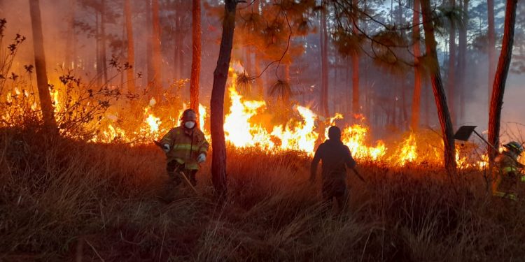Incendios forestales afectan más de mil 500 hectáreas