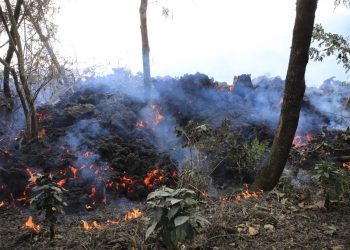 Conozca los flujos de lava activos del volcán de Pacaya