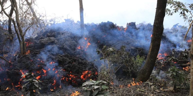 Conozca los flujos de lava activos del volcán de Pacaya
