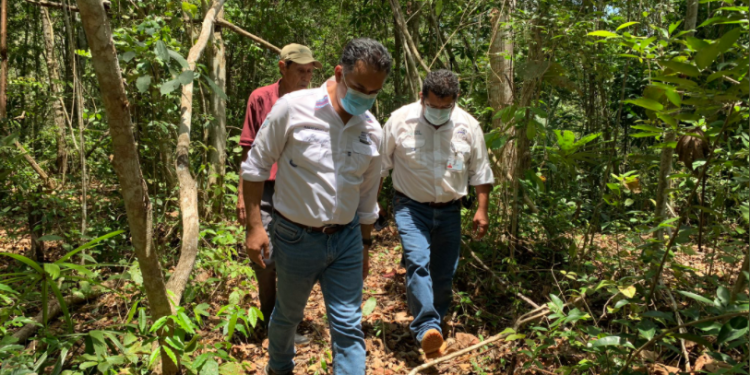 Fortalecen Autoridad de la Cuenca del Lago Petén Itzá