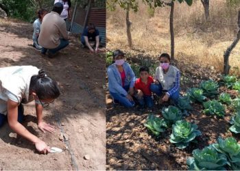 Huertos familiares, estrategia para fortalecer la resiliencia alimentaria