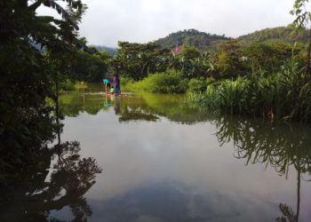 Lluvia ha afectado a 23 mil 263 personas en los últimos días