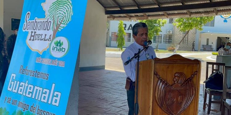Presentan iniciativa para reforestar la sierra de Las Minas