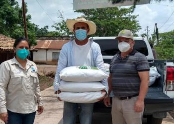 Productores de Chiquimula reciben semilla de arroz mejorada