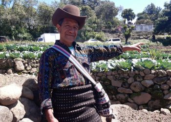 Agricultores de Sololá agradecen apoyo del Gobierno central