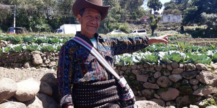 Agricultores de Sololá agradecen apoyo del Gobierno central