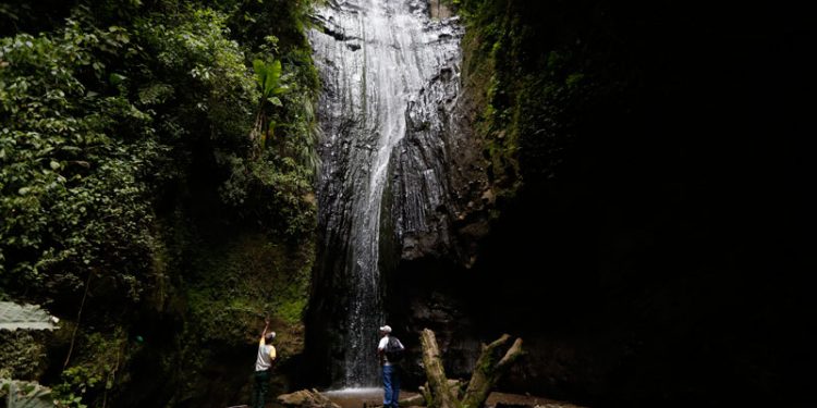 Lanzarán plataforma iNaturalistGT, la primera red social de ciencia ciudadana