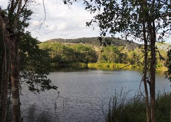 Alemania brinda recursos para ejecutar proyecto de adaptación al cambio climático en Guatemala