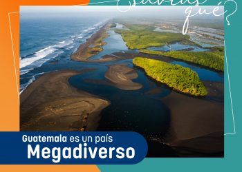 Lanzan campaña para la conservación marino-costera en Guatemala
