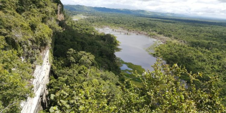 Conap anuncia actividades en el marco del Día Internacional de la Diversidad Biológica