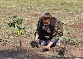 Chiquimula contará con 500 guardianes ecológicos