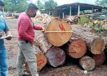 Inab inspecciona industria forestal en Huehuetenango