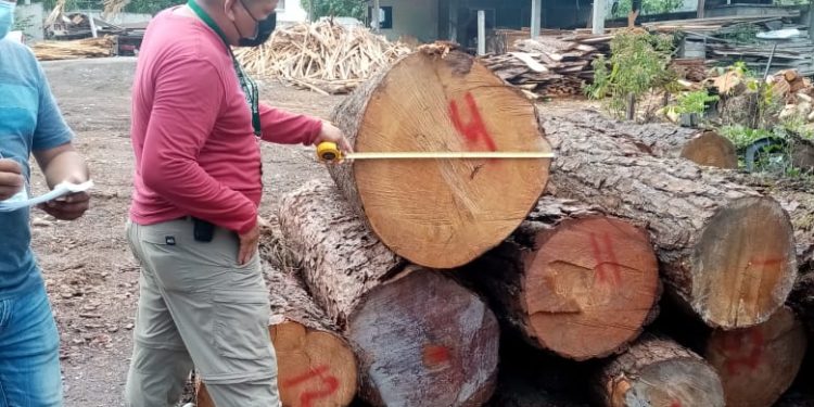 Inab inspecciona industria forestal en Huehuetenango