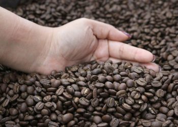 Entre los principales productos de exportación esta el café.