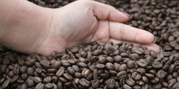 Entre los principales productos de exportación esta el café.