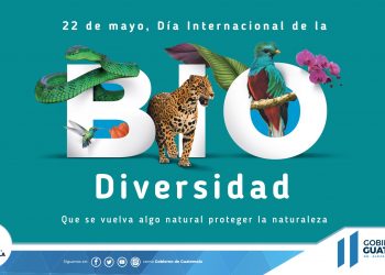 Guatemala llama a la protección de la naturaleza