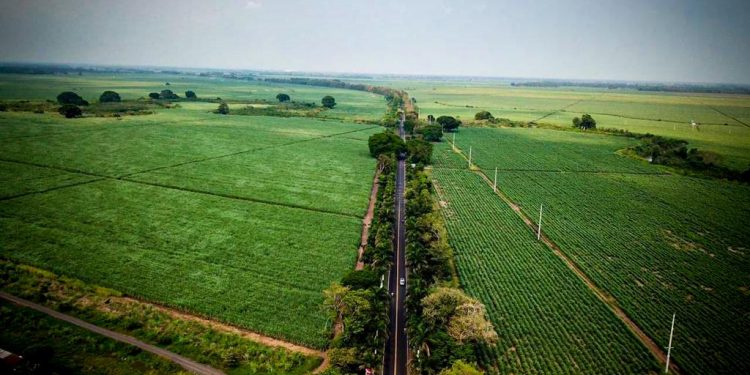 Avanzan proyectos de telecomunicaciones y conectividad en el país