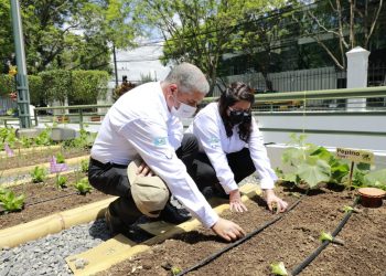 Impulsan huertos pedagógicos para estudiantes