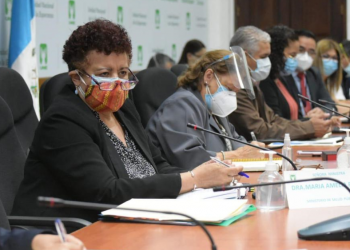 Ministra de Salud Pública, Amelia Flroes