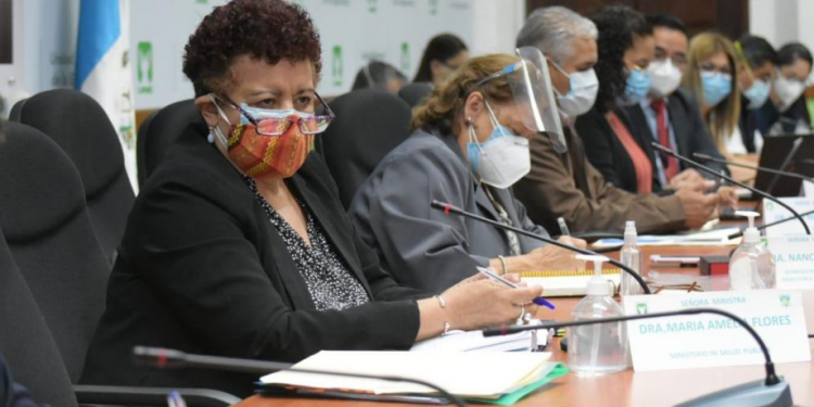 Ministra de Salud Pública, Amelia Flroes