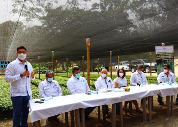 Verifican ejecución de proyecto de resiliencia y restauración forestal en Petén