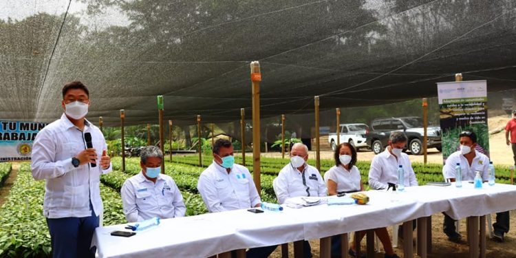 Verifican ejecución de proyecto de resiliencia y restauración forestal en Petén