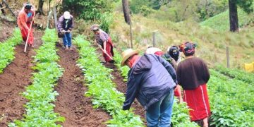 El sello blanco apoyará a las familias de escasos recursos del país.