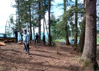 Inab verifica tala ilegal en comunidades de San Marcos