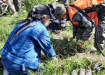 Ejército apoya en reforestación de zona montañosa de Comitancillo