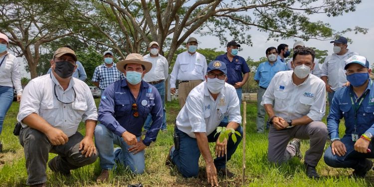 Unen esfuerzos para la conservación de la cuenca del río Ocosito