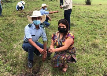 Quiché asume compromiso con la reforestación