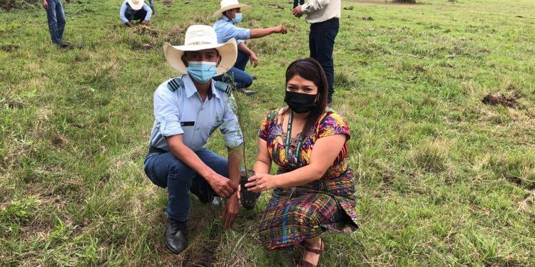 Quiché asume compromiso con la reforestación