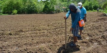 Jutiapa: Extensionistas recomiendan sembrar antes de que comience la época lluviosa