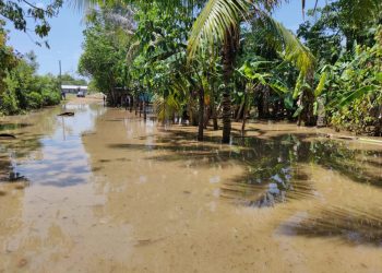 Lluvia del fin de semana deja más de 10 mil afectados
